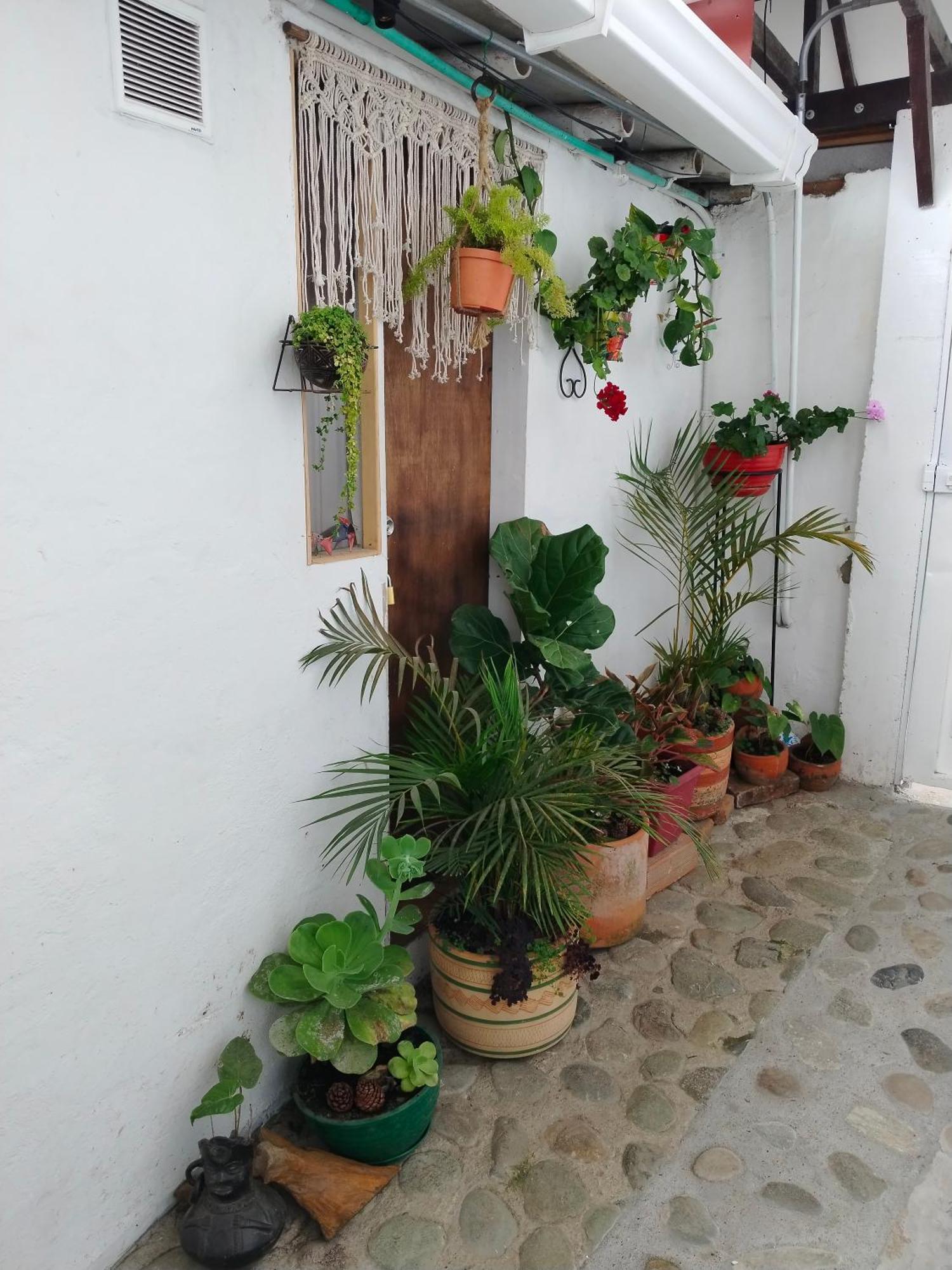Apartaestudios La Baranda Salento Dış mekan fotoğraf